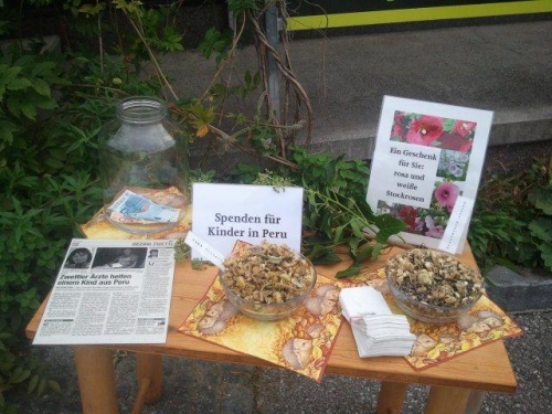 Beim Geburtstagsfest von GARTENleben wurden Spenden für den kleinen Jim Juan gesammelt